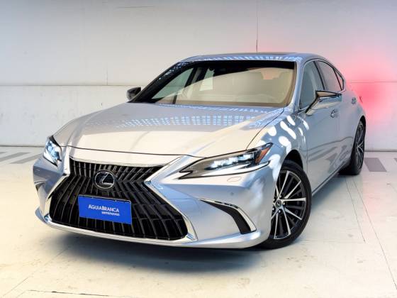 LEXUS ES 300h 2.5 16V HÍBRIDO LUXURY CVT LEXUS ES 300h 2.5 16V HÍBRIDO LUXURY CVT